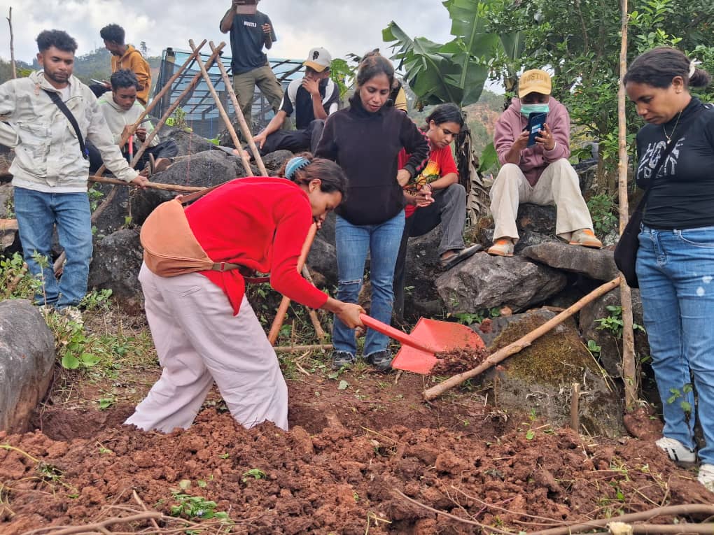 Husi To'os Ba Mudansa: Bainhira Alumni EPA Fila Ba Komunidade Hodi Haburas Agrikultura Orgániku 